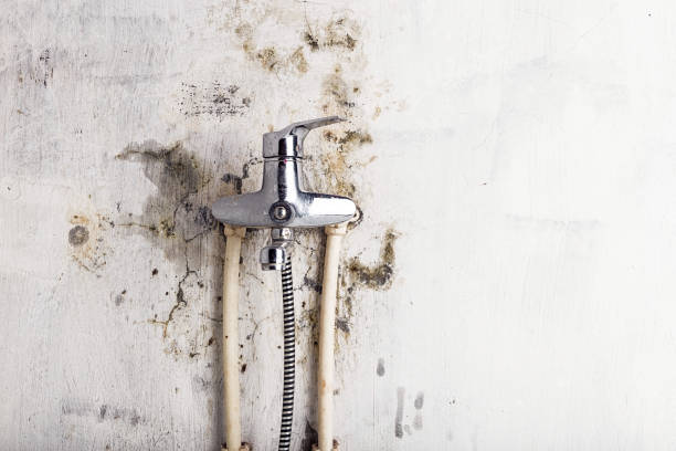 Best Water Damage Restoration  in Whetstone, AZ