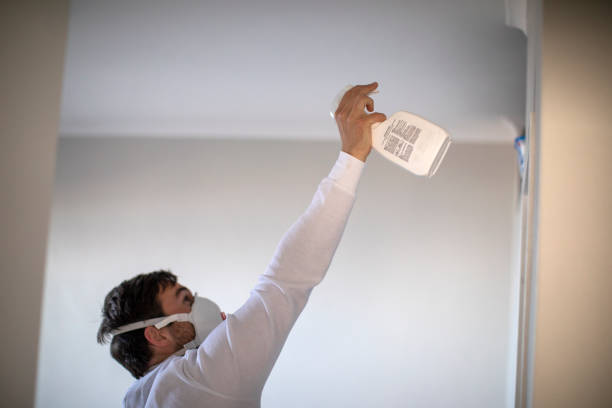 Best Local Mold Removal Service  in Whetstone, AZ