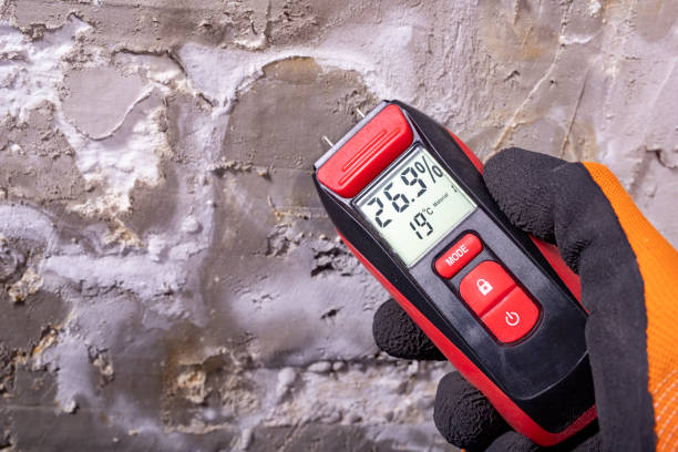Best Mold Damage Repair  in Whetstone, AZ