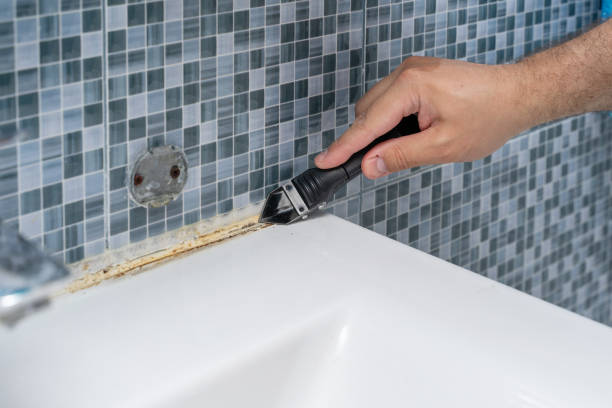 Best Mold Cleaning Services  in Whetstone, AZ