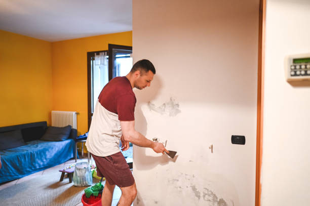 Best Attic Mold Removal  in Whetstone, AZ